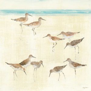 Sandpipers