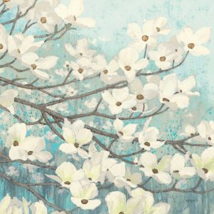 Dogwood Blossoms II