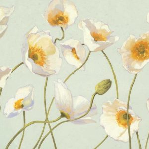 White and Bright Poppies