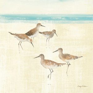 Sandpipers Square I