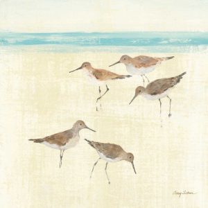 Sandpipers Square II