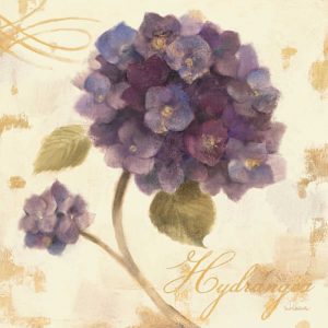 Abundant Hydrangea I