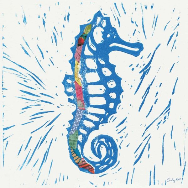 Sea Creature Sea Horse Color