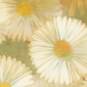 Daisy Story Square I