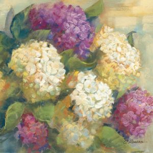 Hydrangea Delight II