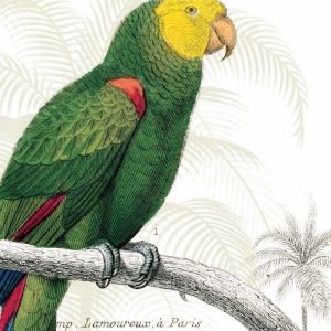 Parrot Botanique I