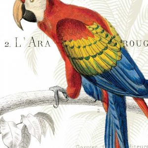 Parrot Botanique II