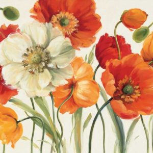 Poppies Melody I