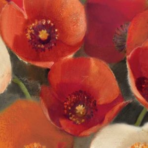 Poppies Bloom I