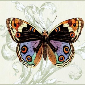 Butterfly Theme I