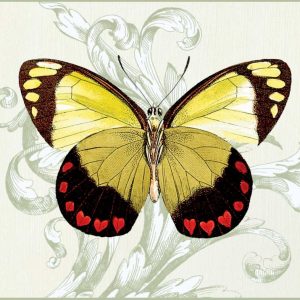 Butterfly Theme II