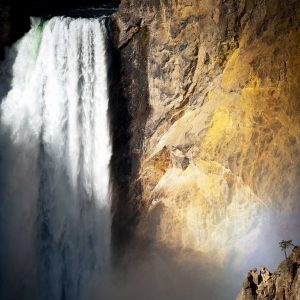 Lower Falls Yellowstone