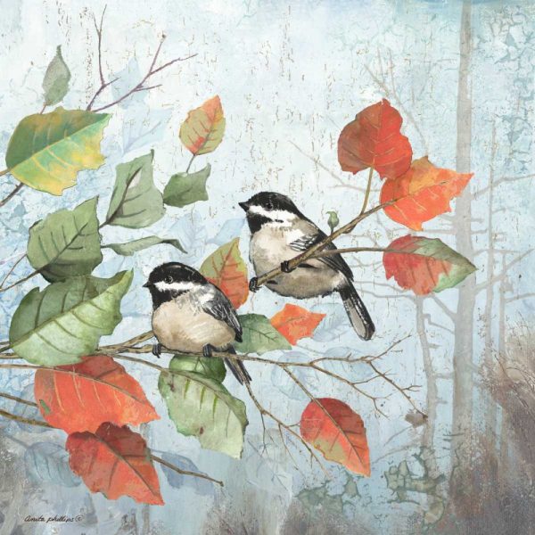 Chickadees