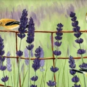 Gold Finch and Lavendar