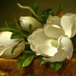 Magnolias on Gold Velvet Cloth