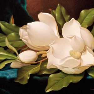 Giant Magnolias on Blue Cloth