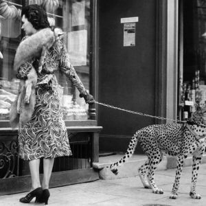 Elegant Woman with Cheetah