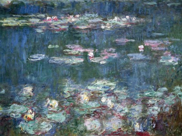 Water-Lilies