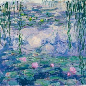 Waterlilies