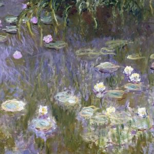 Water Lilies