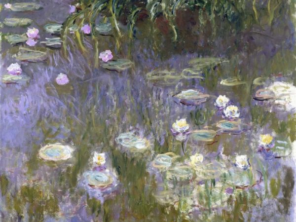 Water Lilies