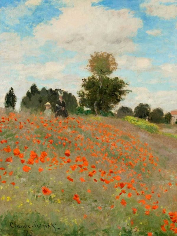 Coquelicots