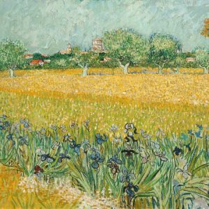 Field with Irises near Arles