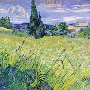 Landscape with Green Corn