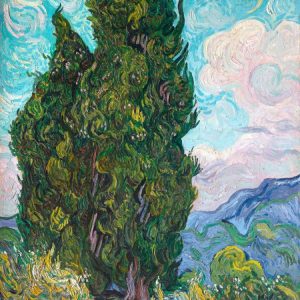 Cypresses