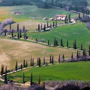 Road near Montepulciano Tuscany