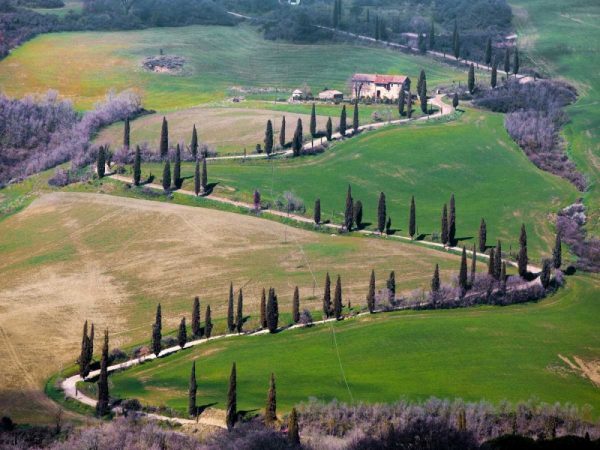 Road near Montepulciano Tuscany