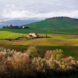 Tuscan Countryside