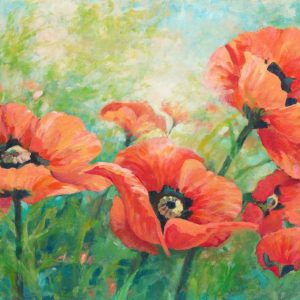 Red Poppies