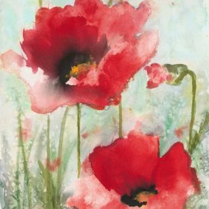 Field Poppies 1