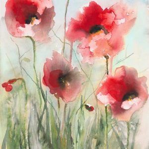 Field Poppies 2