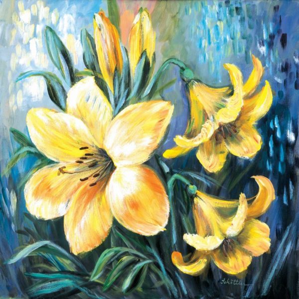 Yellow lilies in Spring