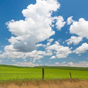 Palouse Farm I