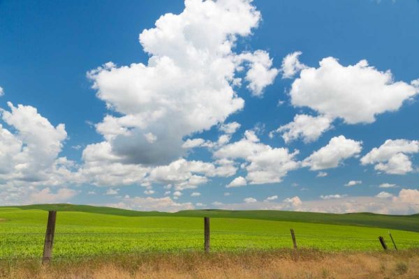 Palouse Farm I