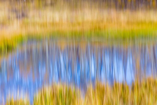 Fall Pond I