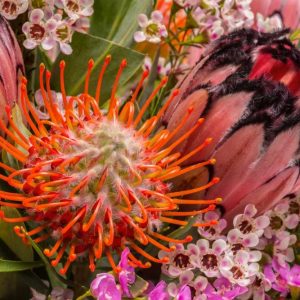 Tropical Bouquet I