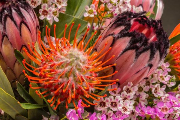 Tropical Bouquet I