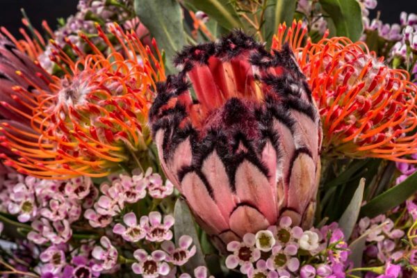 Tropical Bouquet II