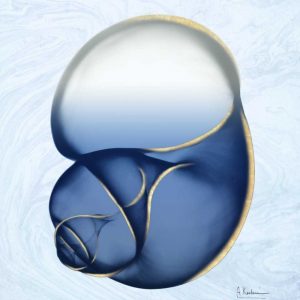 Marble Indigo Snail 1