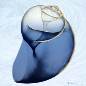 Marble Indigo Snail 2