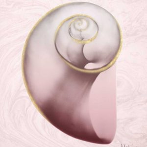 Marble Blush Snail 2