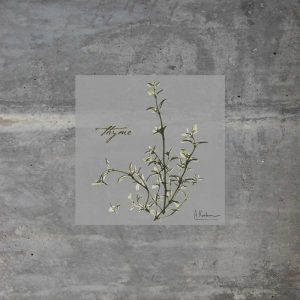 Concrete Thyme