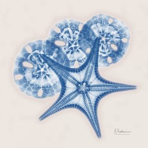 Cerulean Starfish and Sand Dollar