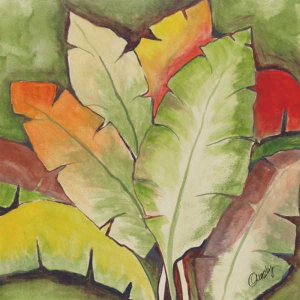 Banana Tree Leaves