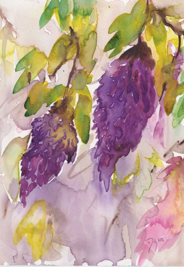 Wisteria I