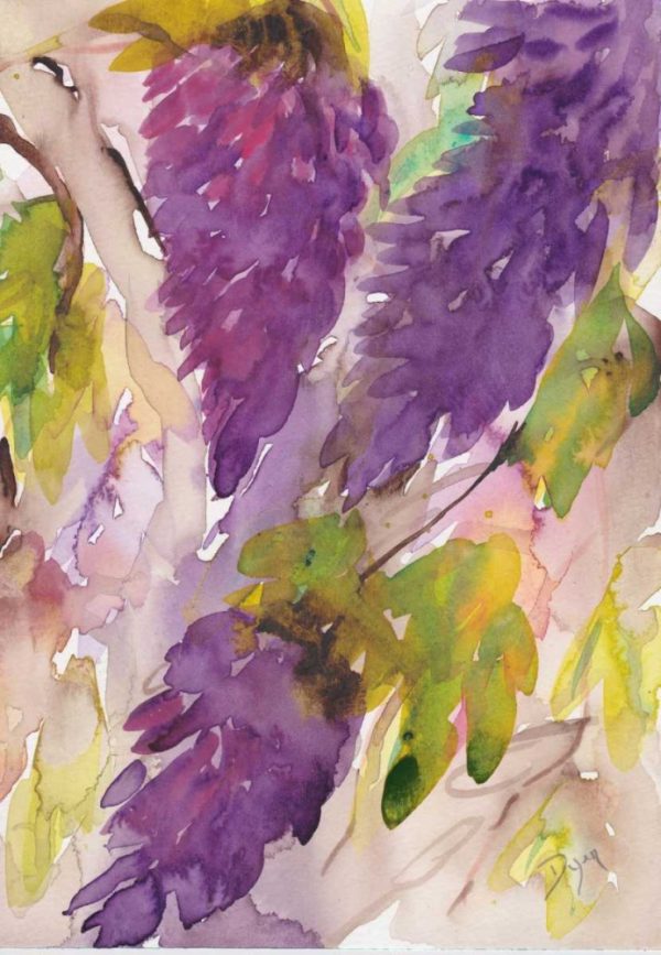 Wisteria II